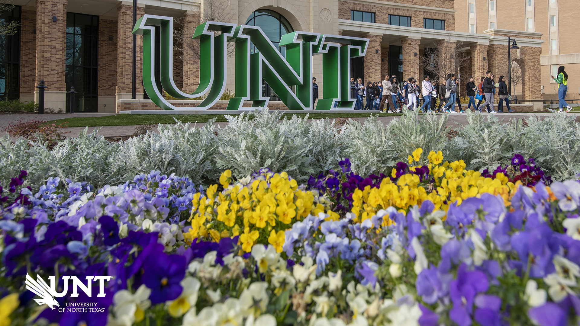 Image of UNT